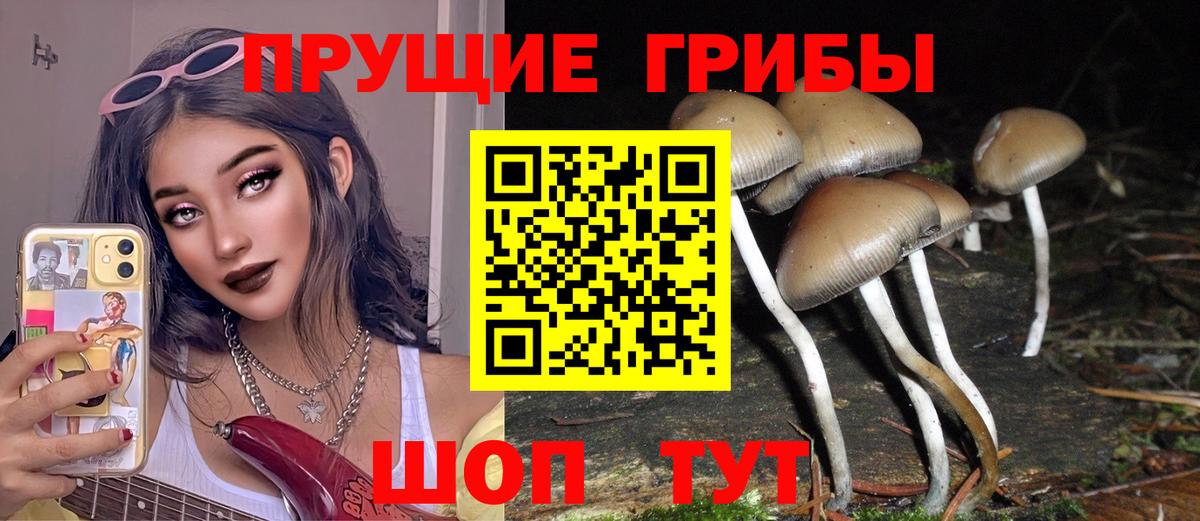 Псилоцибиновые грибы ЛСД  Вход с VPN  Псилоцибиновые грибы GOLDEN TEACHER  Гусев 
